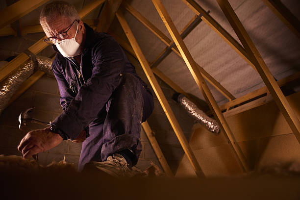 Best Commercial Insulation in Fincastle, TN